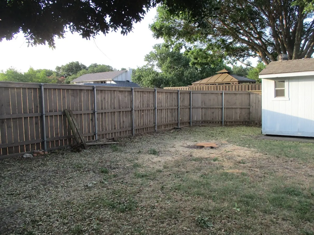 Cleared yard after professional tree removal in Vassalboro